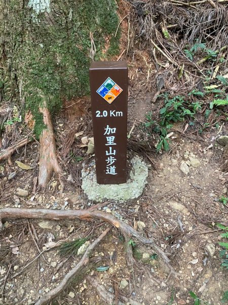 台灣富士山加里山1156846