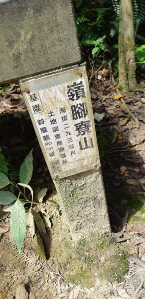 嶺腳寮山步道942797