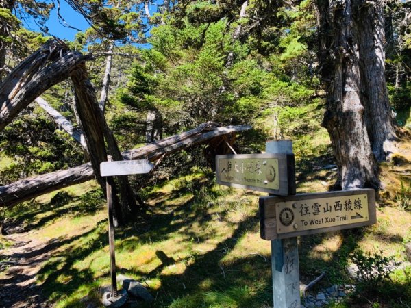 逆走雪山西稜下志佳陽1041409