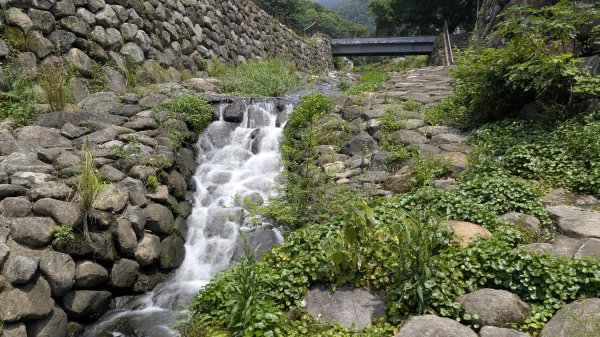 115.05.03小牛埔步道+南瓜隧道之旅3052205