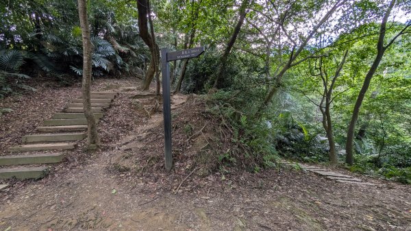 114.11.22鳶山彩碧-鳶山-鳶尾山之旅2943540