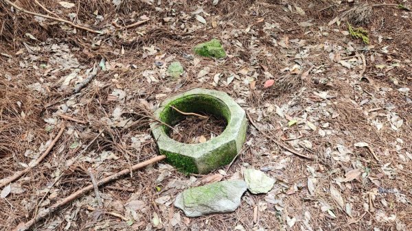 【中級山】五星級步道，谷關七雄馬崙山（八壯士進，斯可巴出）2744975