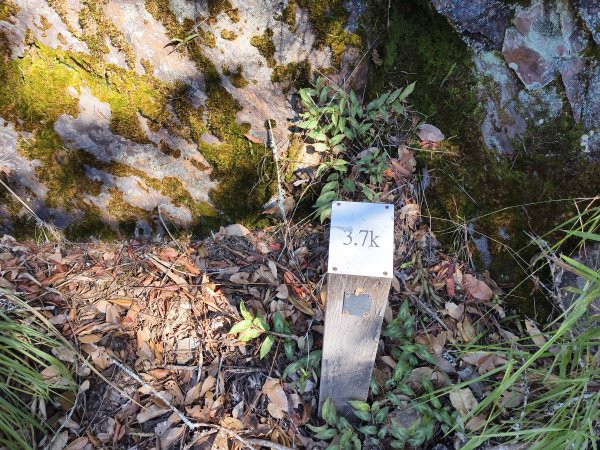 [玉山尋寶任務-07/12] 2025_0824 八通關雲龍瀑布步道2870626