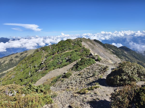 北一段(11/14)南湖北峰 2025_0906~132887265