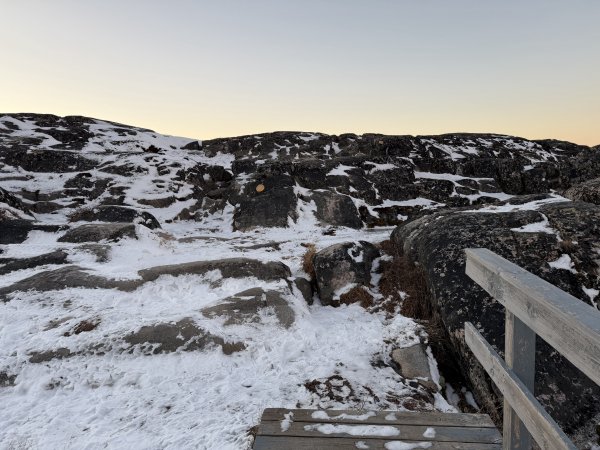 [紐約馬之行-40] 2025_1107 黃線步道-前2950515