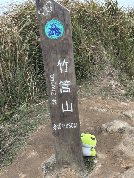 陽明山東西大縱走-東段2984544