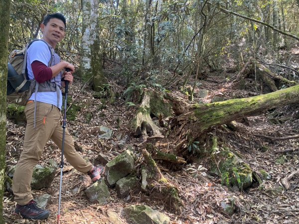 長壽山-醜崠山-鳶嘴山【既優雅又狂野的另類選擇】2673975