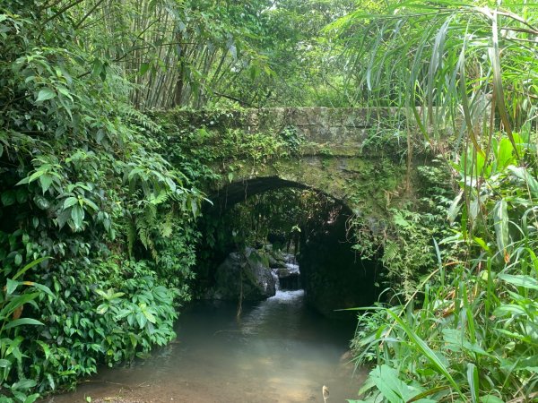 大崎棟古道、騎龍古道2772302