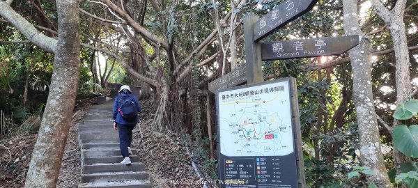 《台中》登山市集｜大坑9及9_1號步道上觀音亭202512202966555