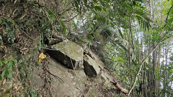 暗影山三進三出2366566