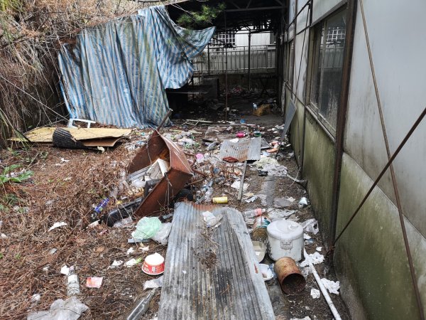 巴庫拉斯，七彩湖1339067