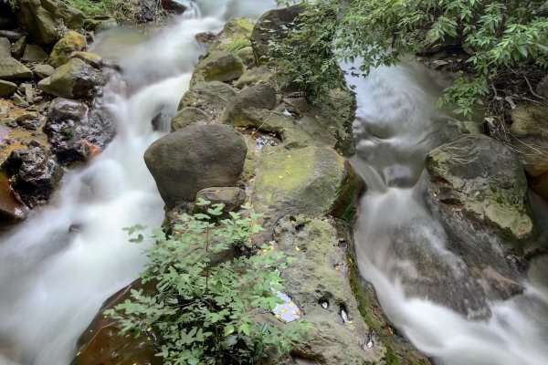 北投 中正山3087442