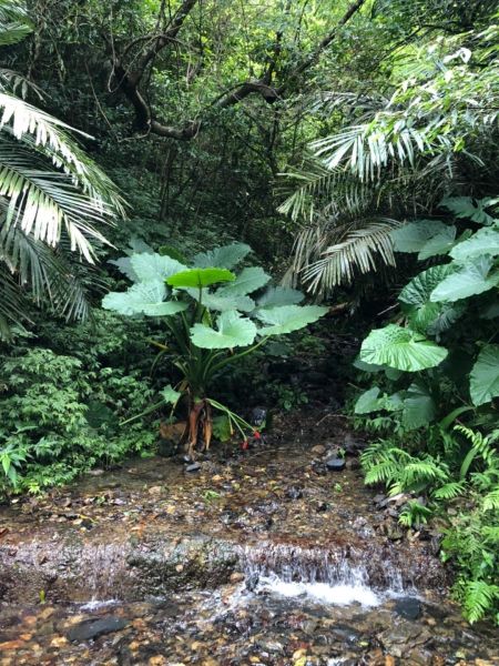 1070715聖母山莊393556