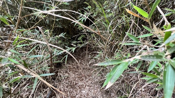 將軍廟上天鑾池上下2162810