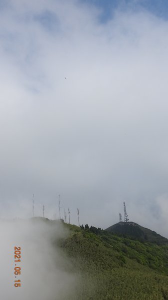 再見觀音圈 - 山頂變幻莫測，雲層帶雲霧飄渺之霧裡看花 & 賞蝶趣1387527