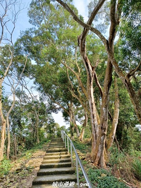 【彰化員林】綠樹林間散散步。 臥龍坡步道1691262