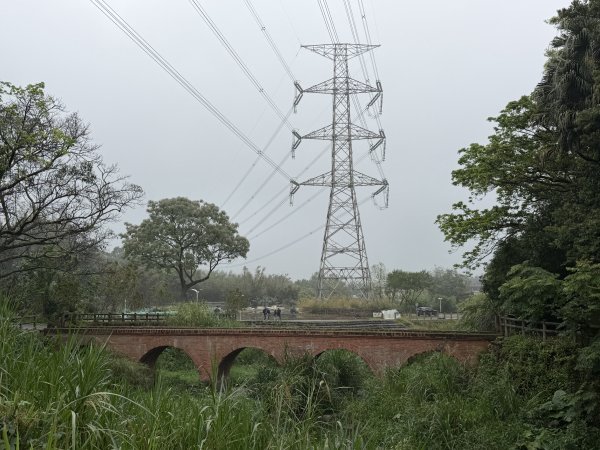 [樟之細路_第一大段RSA01] 2026_0329 大平紅橋3026630