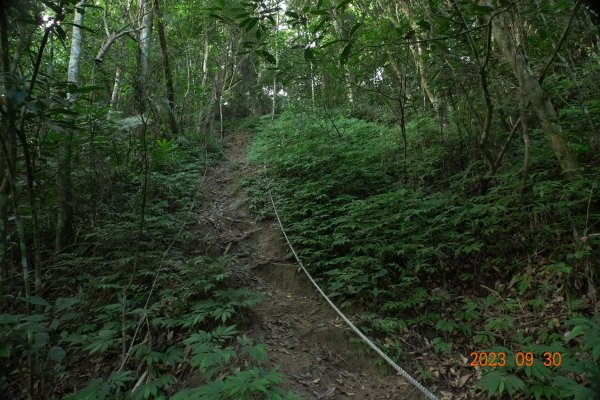 苗栗 大湖 玉女山、金童山、汶水山2301480