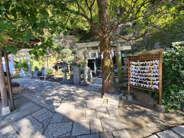 20251128橫須賀軍港遊船+鎌倉大佛步道2962726