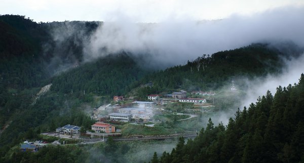 【新聞】太平山國家森林遊樂區自即日起受理申辦108年體育活動