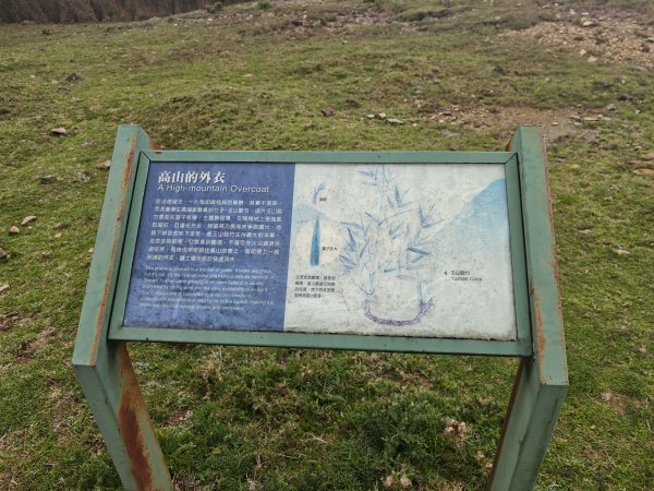 [山海圳_聖山之路_第二段3/4] 2026_0802 麟趾山3109252