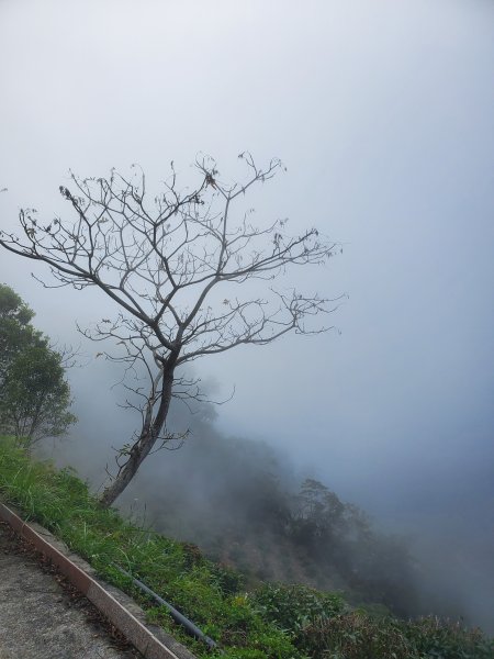 藤枝山+櫻花公園賞櫻花798373