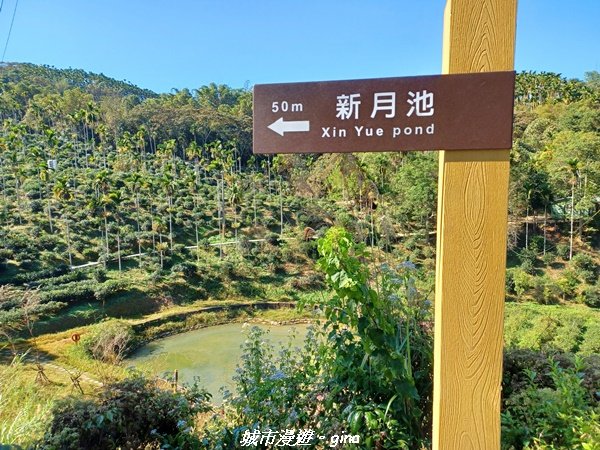 【南投魚池】天晴健行趣。 台版侏儸紀公園_澀水森林步道2407793