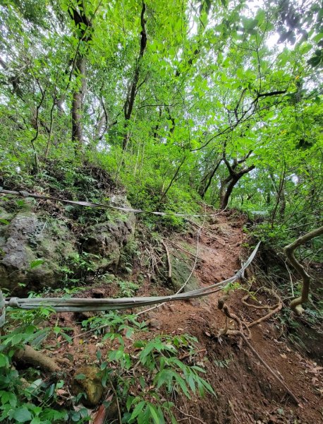 2022.09.20 小觀音山-大屯溪古道1852182