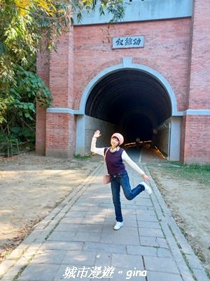 【苗栗】貓貍山公園功維敘隧道2981674