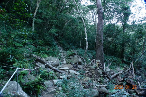 屏東 獅子鄉 里龍山(里隆山、里瀧山、鯉龍山)、下里龍山2018548