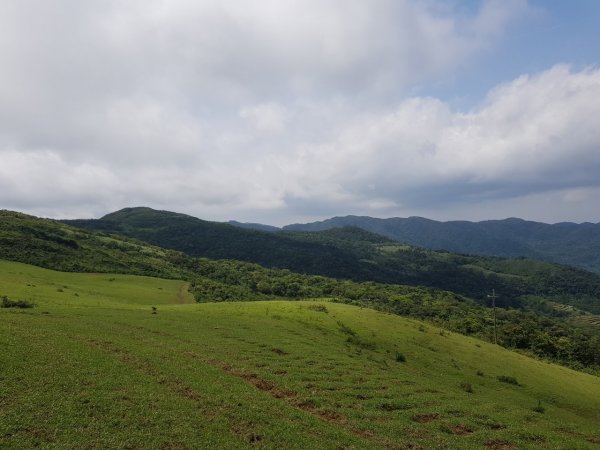 大草原奔跑的感覺真好561499