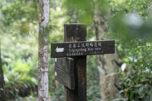 北港二坑-翠湖-內溝山-油桐嶺-老鷲尖山-老鷲尖南峰-學頭坡山 O型2232073