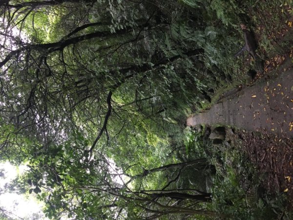 溪洲山2736201