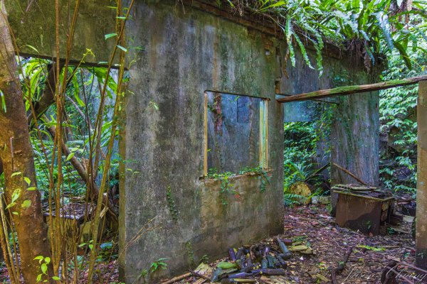 [新北]白雞山與裕峰煤礦遺址2891872