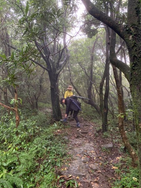 大雨中的獅仔頭山1197102