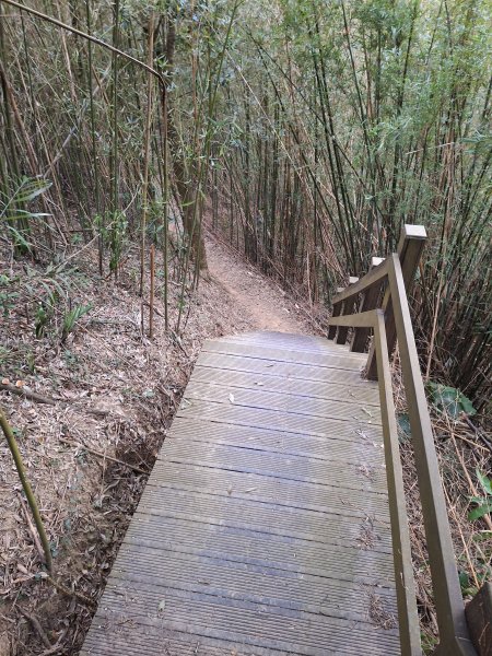 文林古道(鄧雨賢公園起登)202401222696190