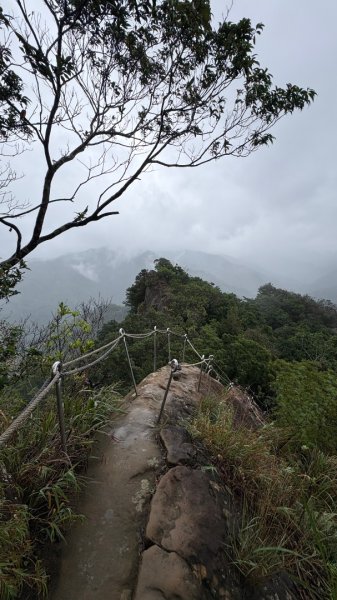 迎新（2026元旦2975585