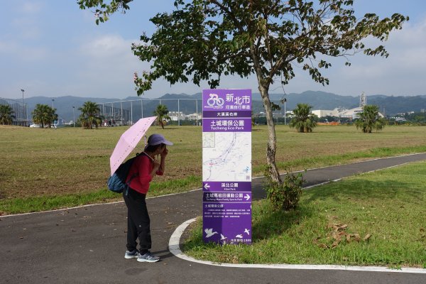 國家級城林人工濕地．打鳥埤人工溼地1182186