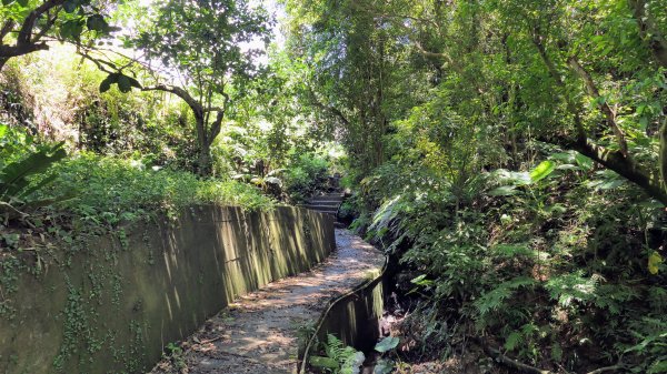 拳山古道,土地公嶺古道,中埔山古道,文山森林公園2578159