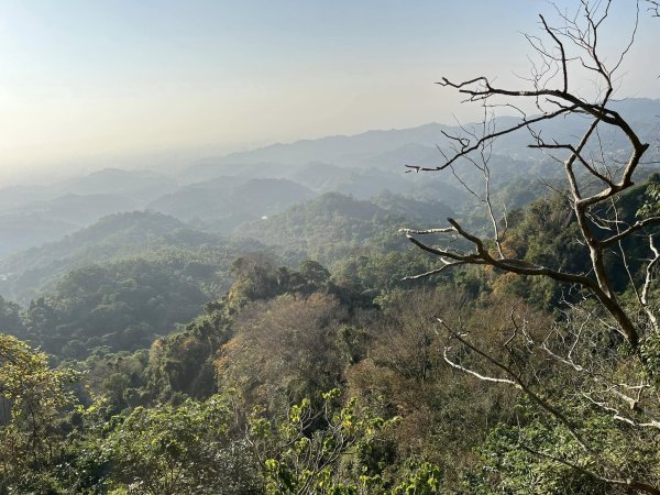 大坑二號步道2711564
