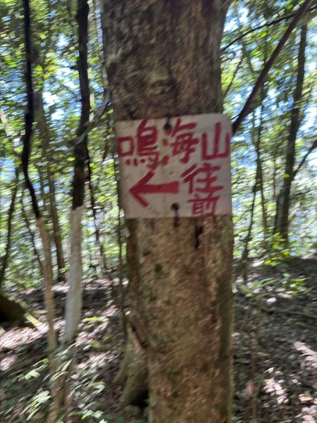 20251116鳴海山、網子山登山步道2938413