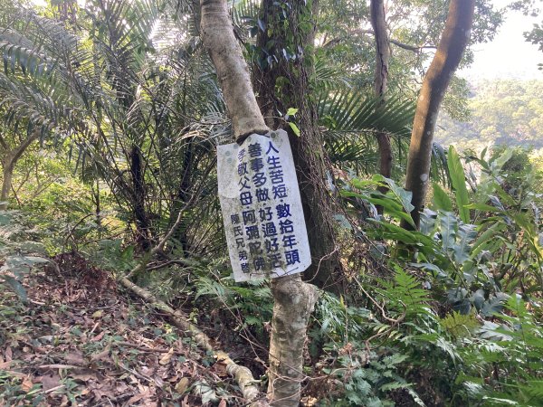 石門山登山步道2396641