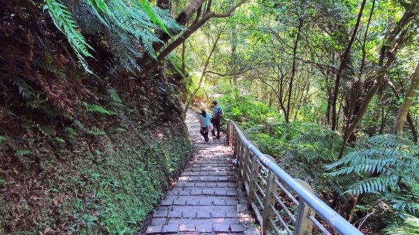 帕米爾公園,台北小溪頭1772385