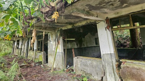 20250420古魯古道-大元山-大元國小2767390