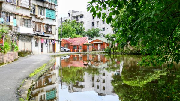 五堵獅頭山2810516