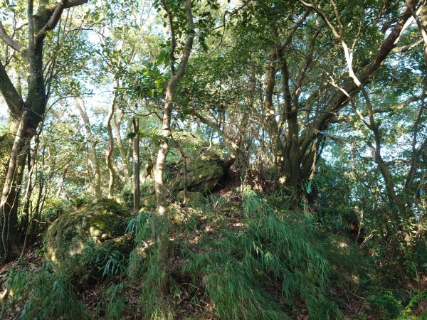 微笑山線之鳶山任務2855495