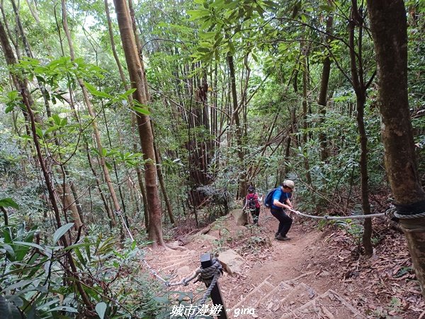 【台中和平】2022「谷關七雄，慢旅台中」登山活動認證。 瘦稜展望好視野。 谷關七雄~白毛山步道1804464