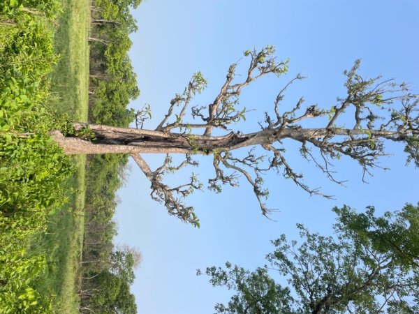 尼泊爾奇旺國家公園4天三夜2788962