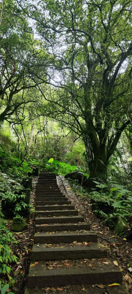 新竹內灣．馬胎古道202506212823508