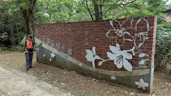 114.05.04三芝桐花步道-百年田梯步道-大鵬足湯公園2779886